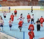 hokejbal4