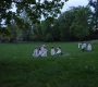 park6