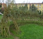 skolka4